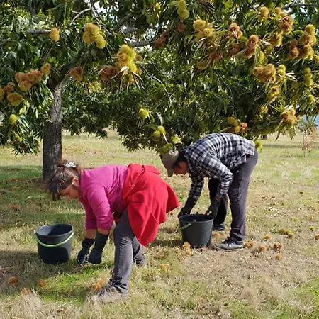 - Boa * Vila Boa (Braganca)