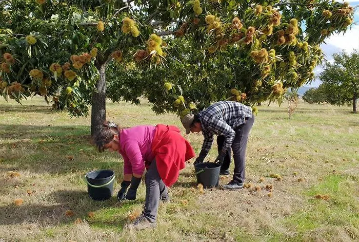 - Boa * Vila Boa (Braganca)